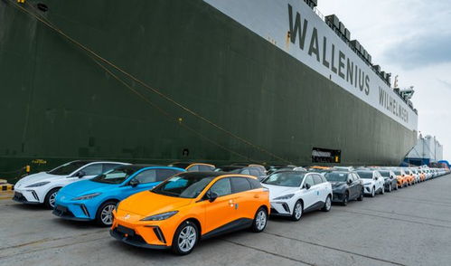 果然,歐洲制裁國產(chǎn)新能源車只是手段,讓我們過去建廠才是目的